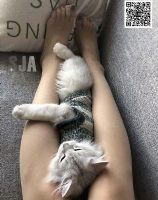 妻辱轮回_BD国语免费在线播放